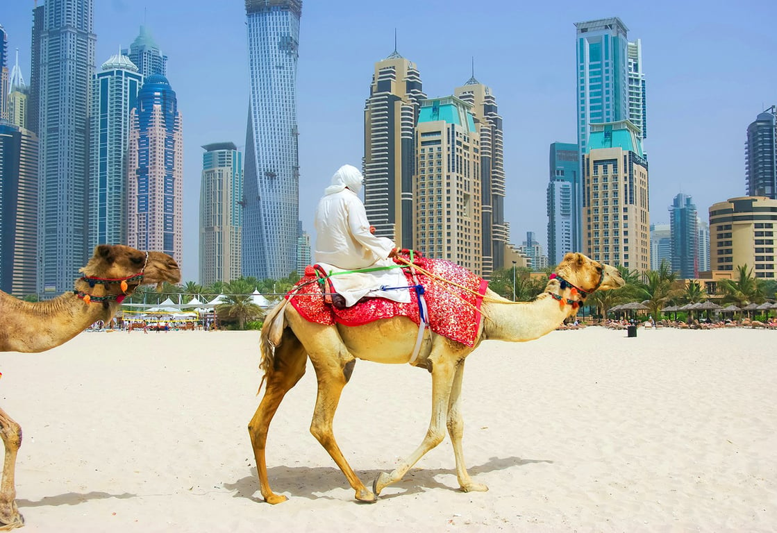 8.	Camel Ride
