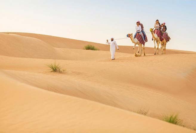 Camel Riding At Red Dunes