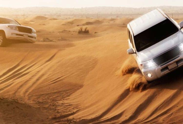 Desert Safari Visits At Dubai 2023