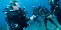 Dubai Travel And Tours