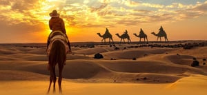 Sunrise Desert Safari with 30 Minutes Camel Riding & Sand Boarding