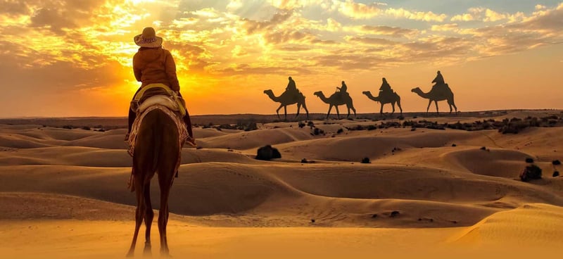Sunrise Desert Safari Dubai, Photography, Camel Riding, Sand Boarding, Dune Bashing gallery image 7