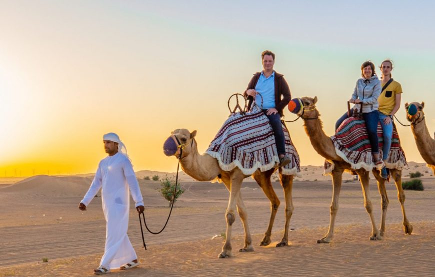 Long Camel Ride