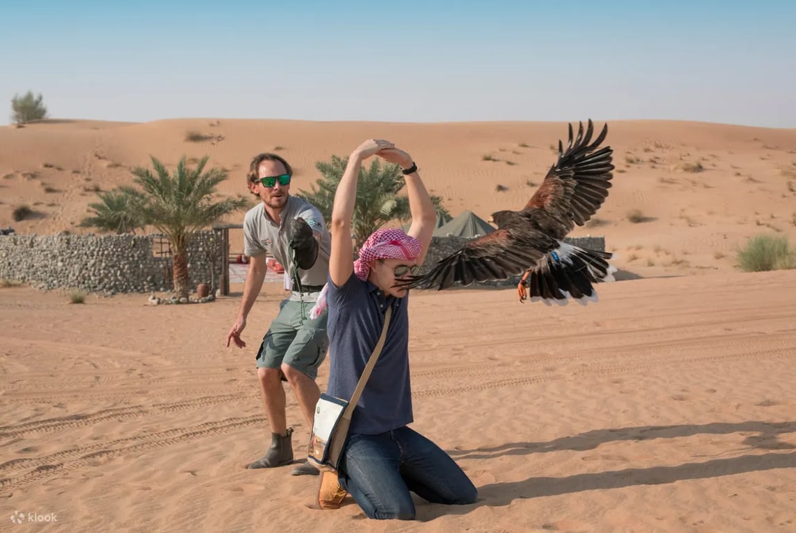 Photographed with a Falcon