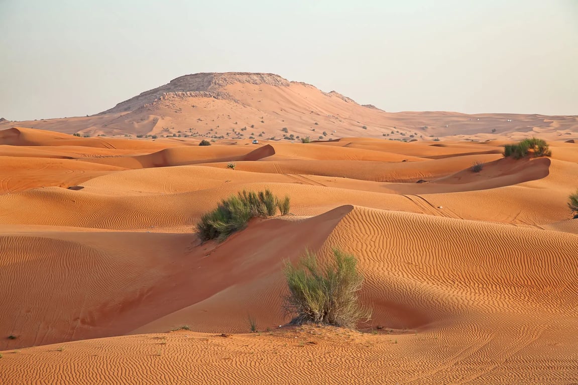 Find the experience of the Arabian Desert