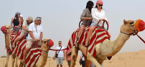 4-Hours Private Safari