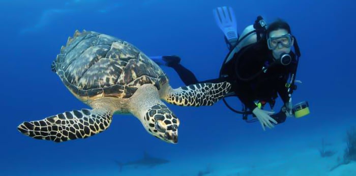 Dubai Travel And Tours