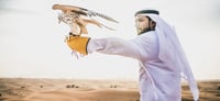 Dubai Travel And Tours