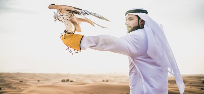 Dubai Travel And Tours