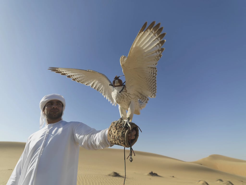 Why Are Falcons So Important In Dubai?