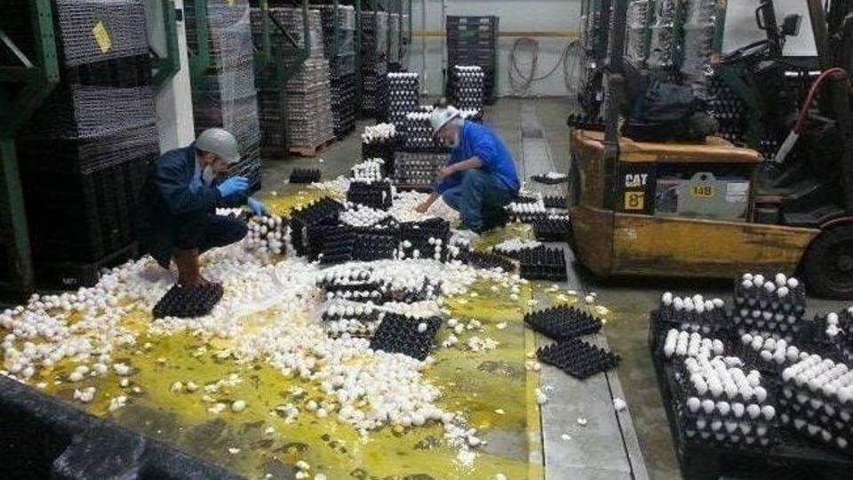보는 순간 멘붕 오는 사진.