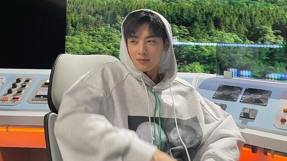 차은우를 알게 된 일본인