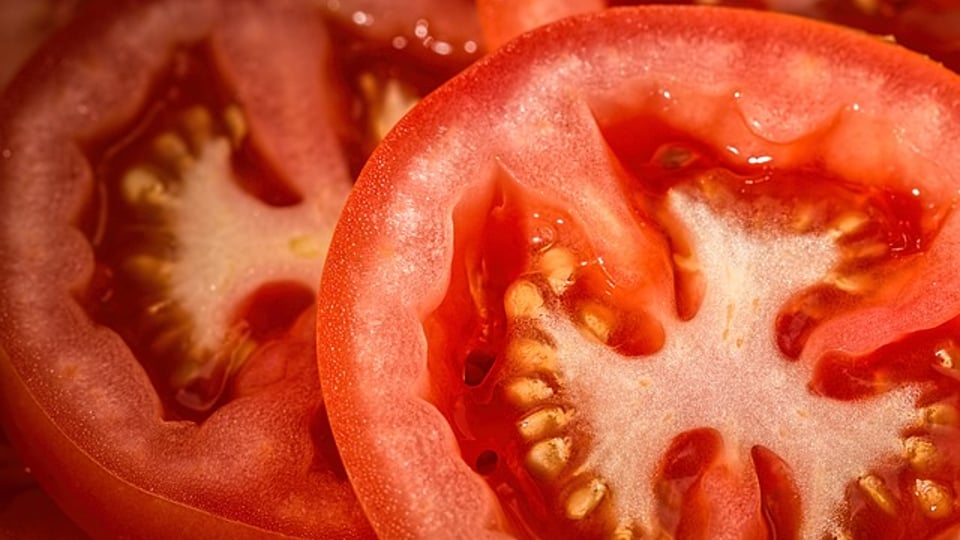 전혀 몰랐던 토마토 자르는 법