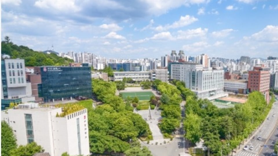 서강대 물리학과에 프리패스 할수 있는 전형
