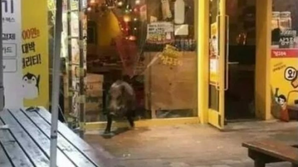 "짜증나게 헌팅포차에 도대체 돼지는 왜 오는거냐?" 던 '남성'의 비밀.