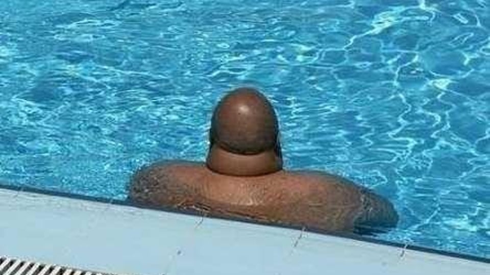 누가 수영장에 똥 쌌냐.