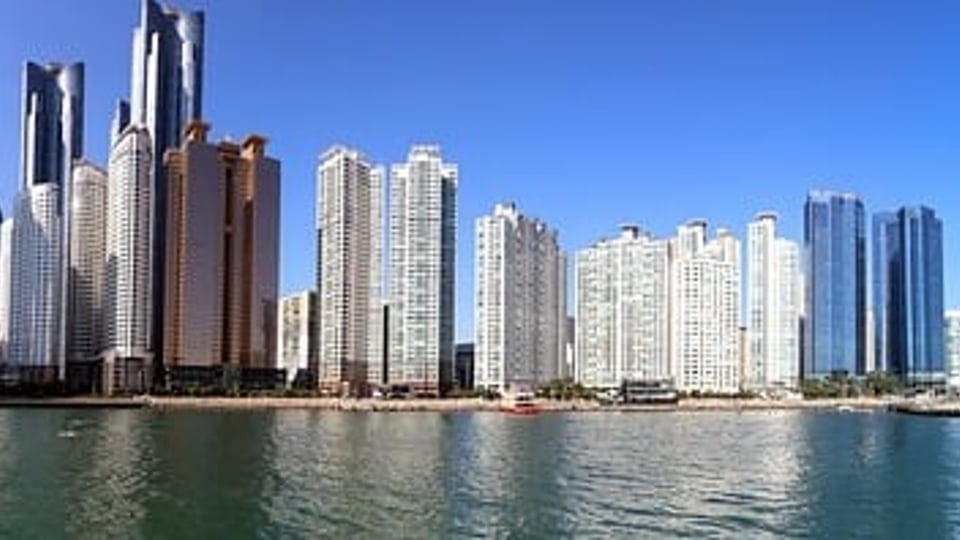 광역시로 승격을 원하는 시들.