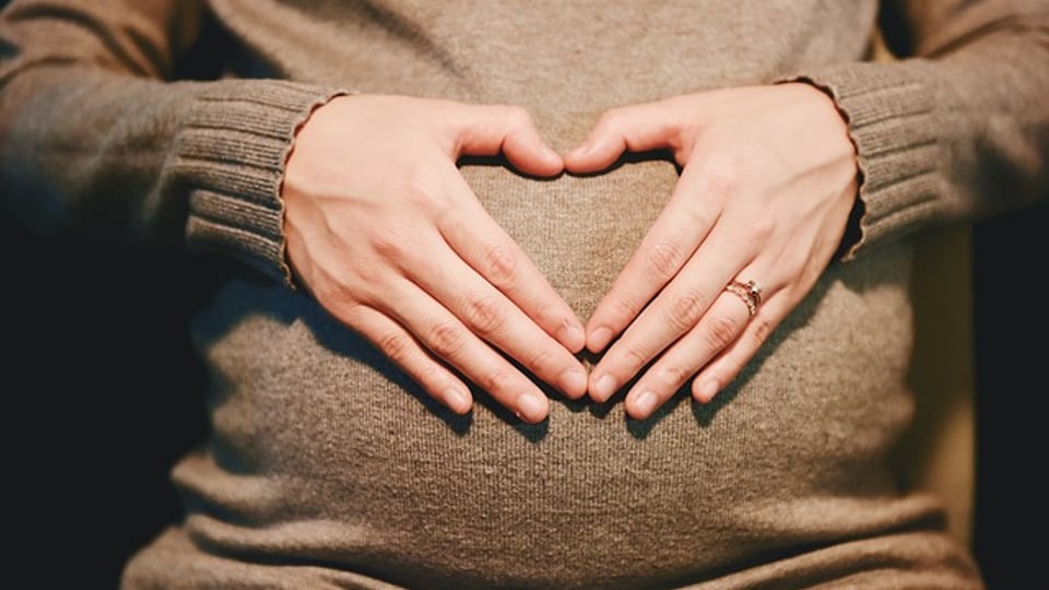 임신했을 때 아기가 먹고싶어한다는 말이 맞나봄