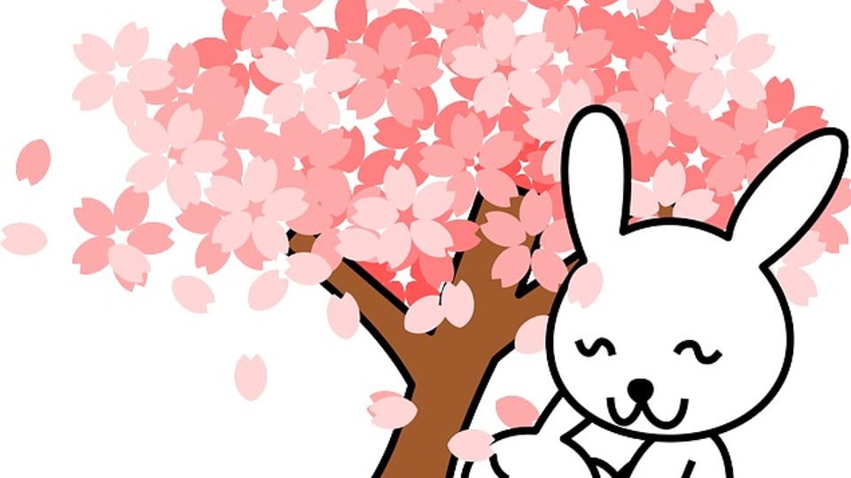 아무도 몰랐던 오버액션 토끼의 정체.