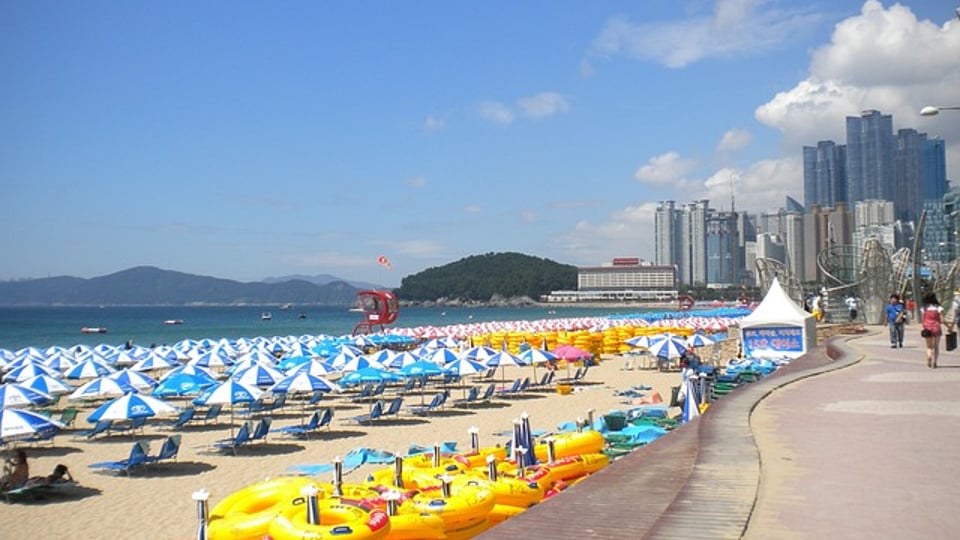 서울로 상경한 부산 청년들의 생각.jpg