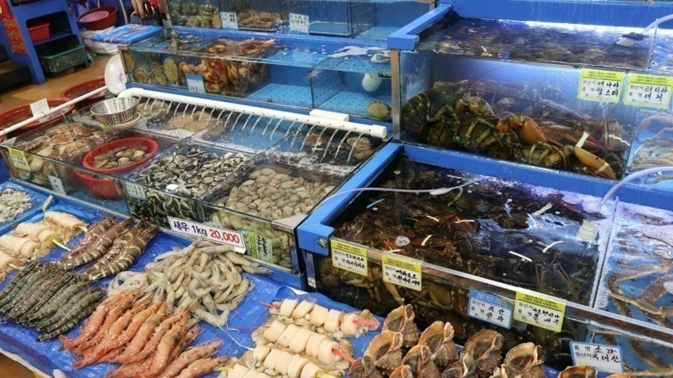 아픈 오징어를 판다는 마트.