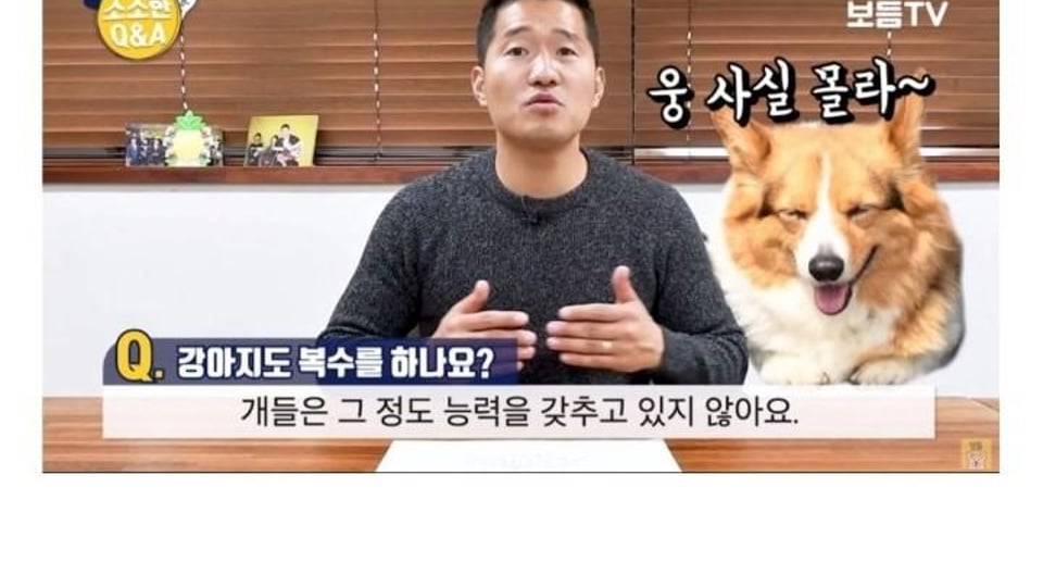 강형욱쌤 강아지도 복수를 하나요?.