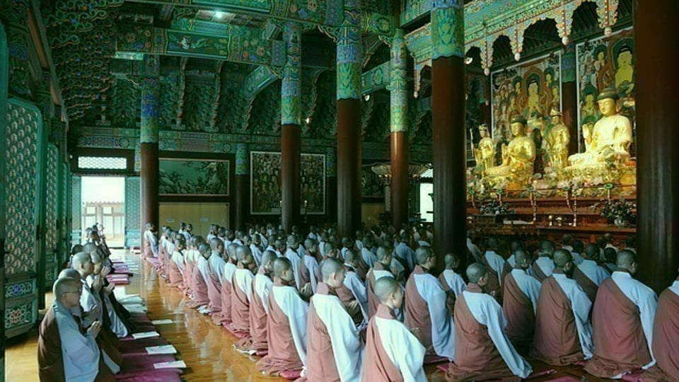 평생 채식만 먹은 스님의 충격적인 건강 상태.