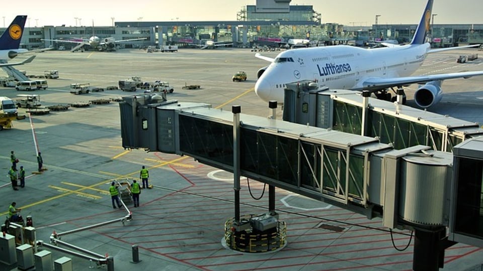 공항 직원 기절시켜버린 썰 푼다