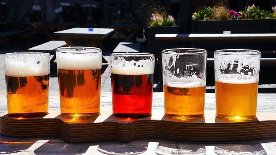 국내 판매 맥주 블라인드 테스트 순위 결과