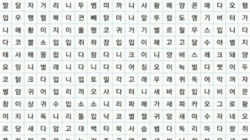 처음 보이는 동물이 나의 수호신.