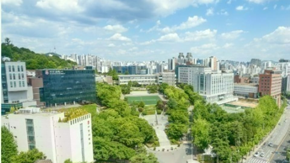 서강대 물리학과를 프리패스 할수 있는 전형
