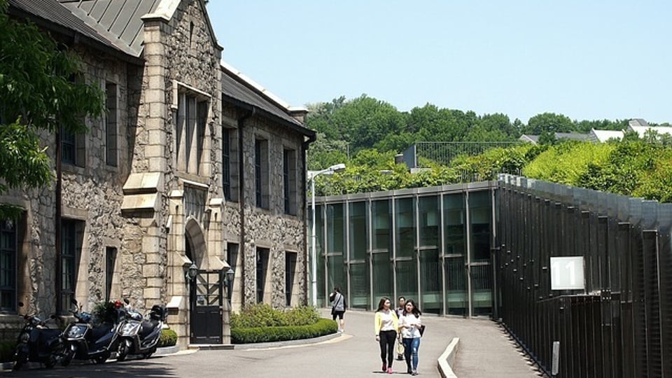 서울대학교 학생의 말 못할 고민.