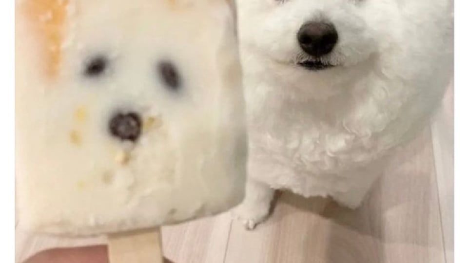 아이스크림에 갇힌 영혼.