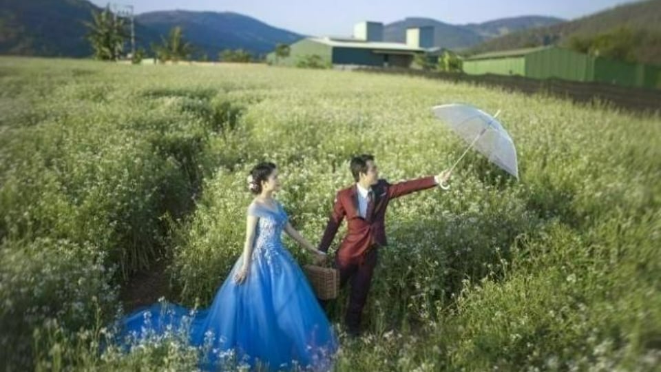 스몰웨딩 솔직후기... 정말 거지 같았음.