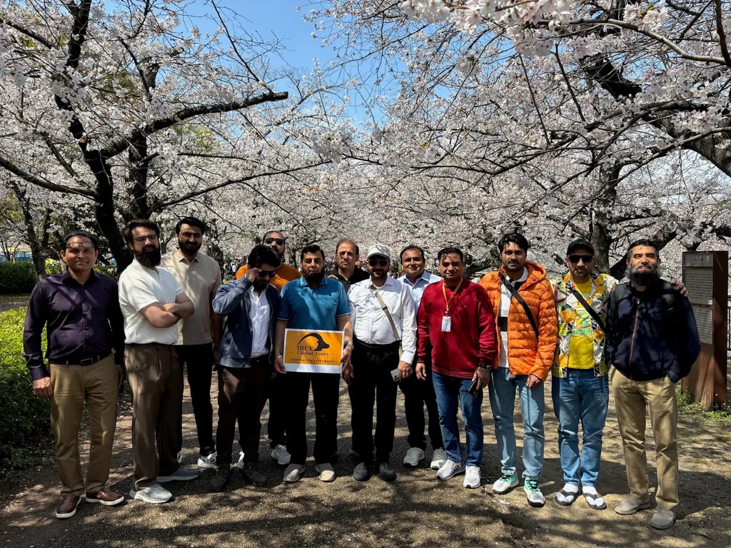 An IBEX group at Cherry blossom season