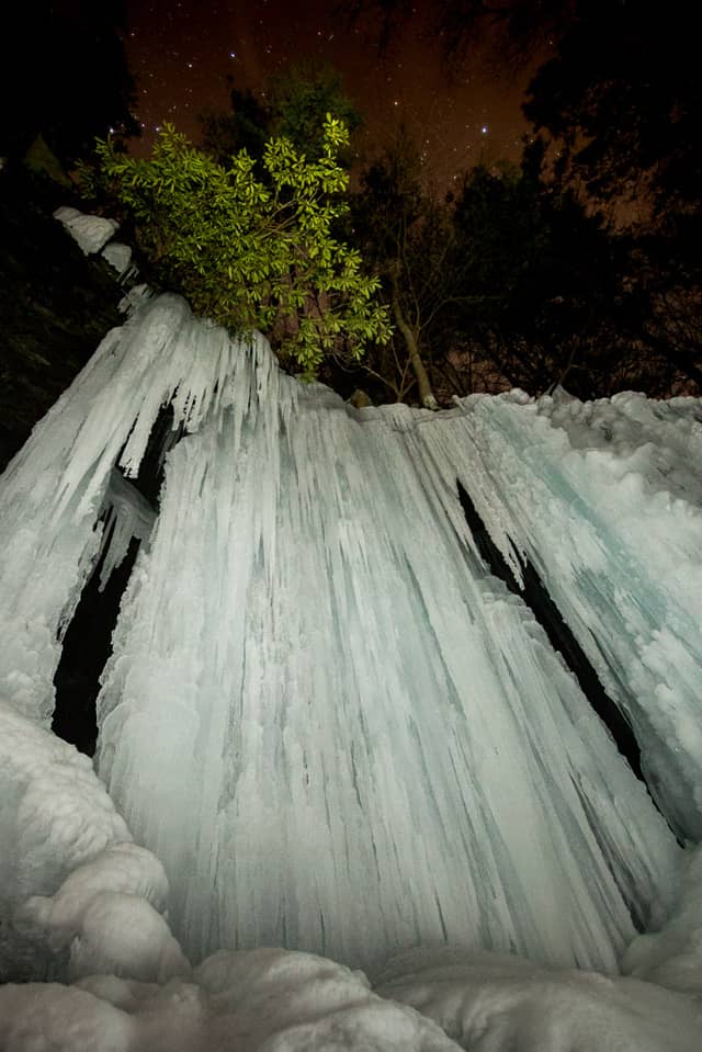 Jacoby in Winter