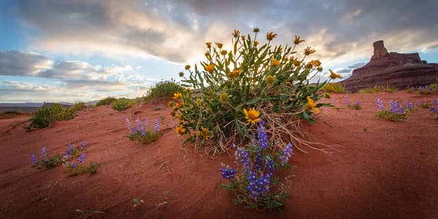 Potash Road in Canyonlands
