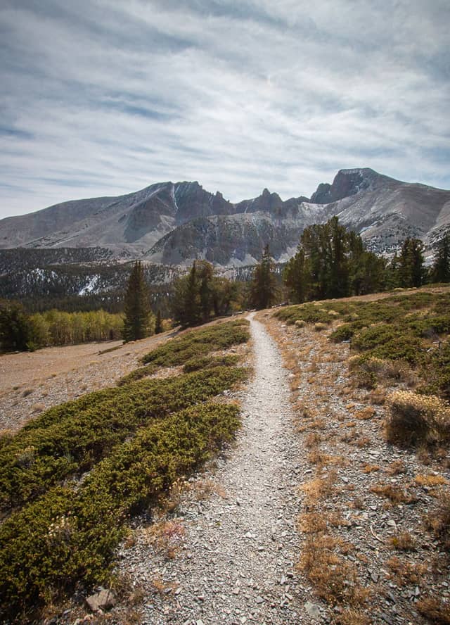 Wheeler Peak Peek