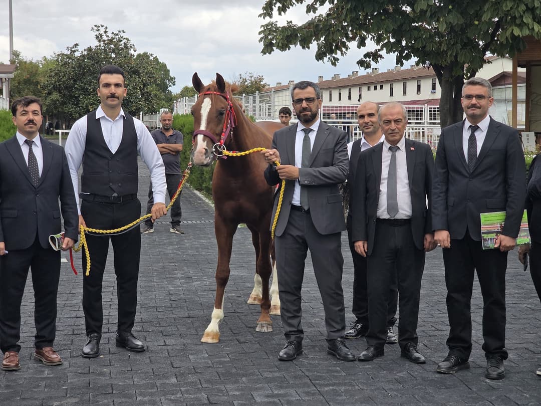 VELİEFENDİ’DE SULTANSUYU TAYLARI İÇİN MİLYONLAR YARIŞTI