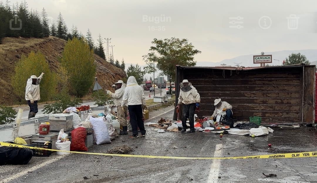 Malatya’da Arılı Kamyon Devrildi!
