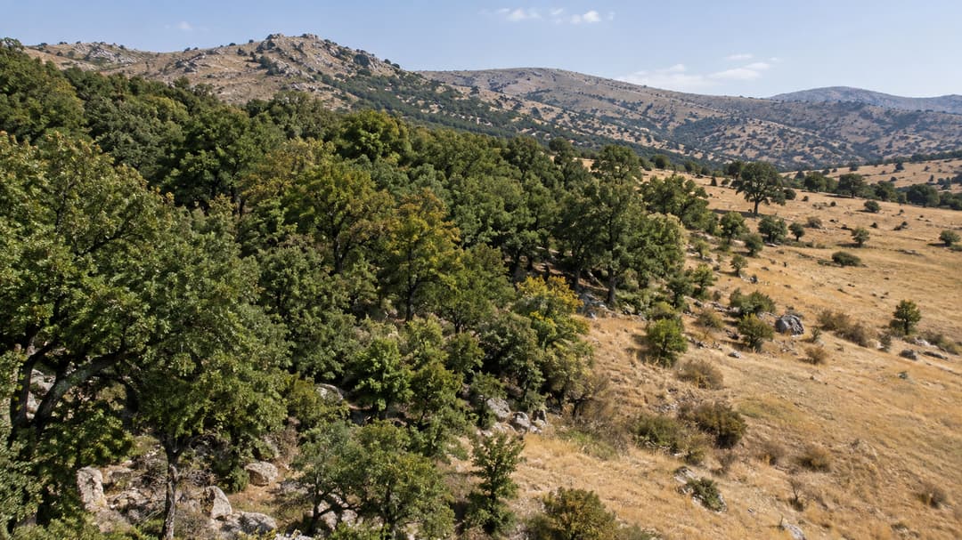Malatya’da Dikkat Çeken Karar
