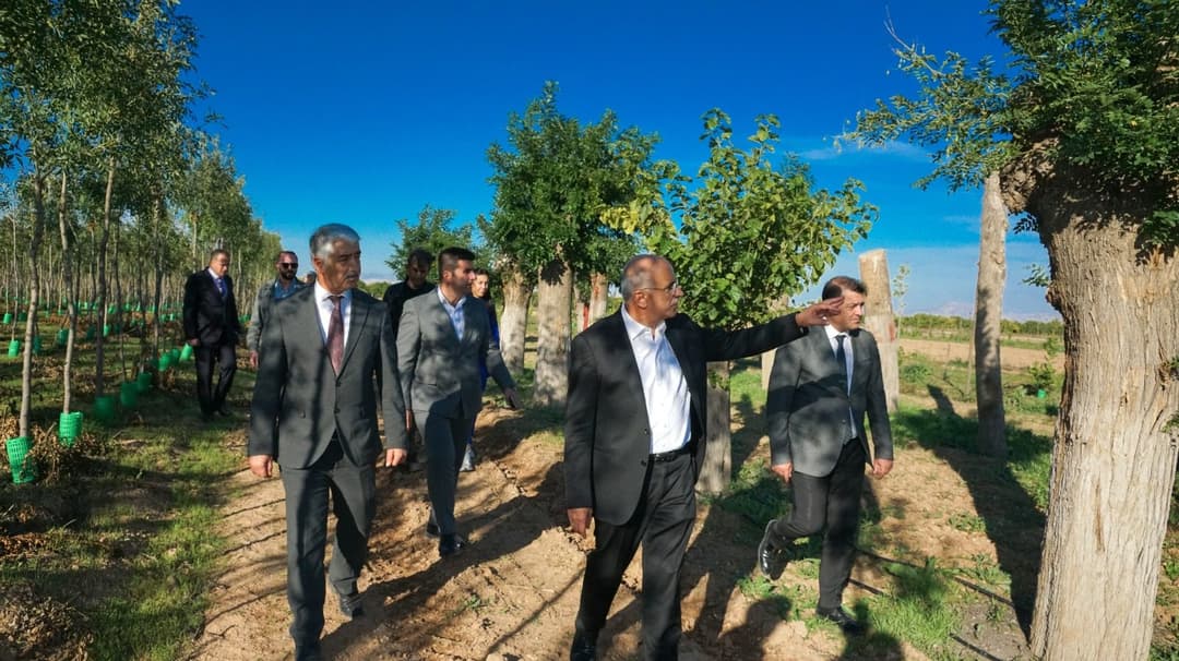 Malatya’da Yılda 20 Bin Fidan ve 50 Bin Metrekare Rulo Çim Üretiliyor