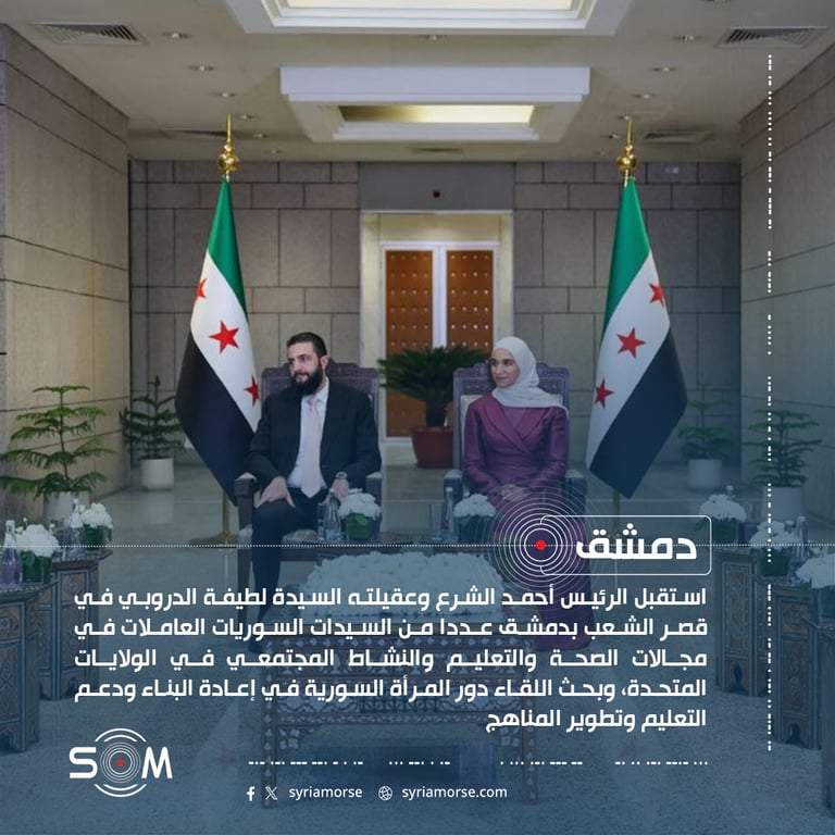 الرئيس أحمد الشرع يستقبل في دمشق سوريات عاملات في الصحة والتعليم بالولايات المتحدة