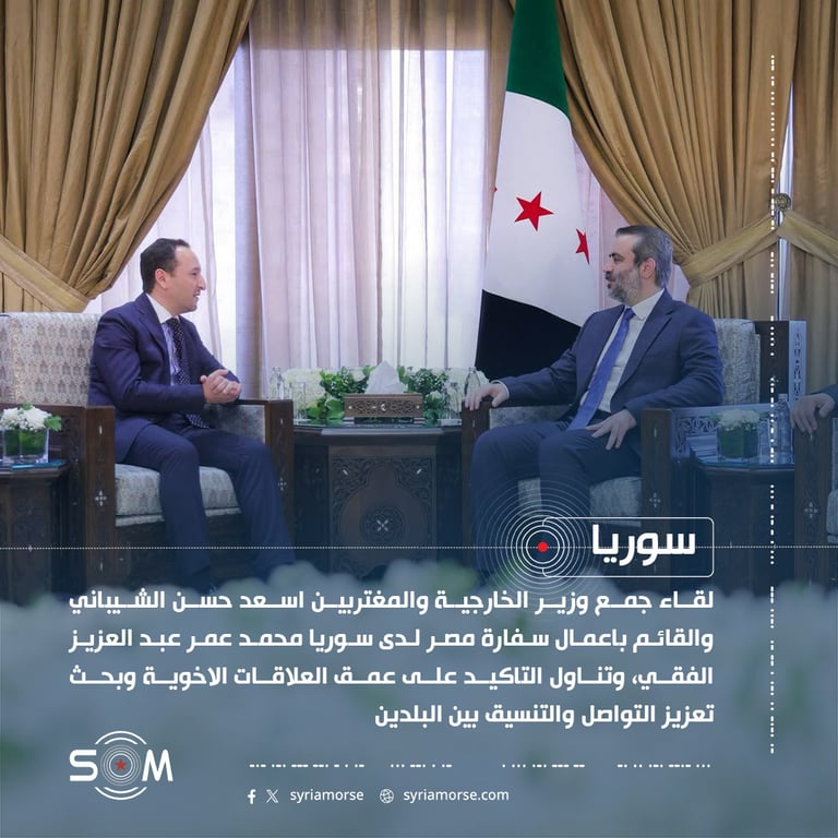 وزير الخارجية السوري يلتقي القائم باعمال سفارة مصر في دمشق