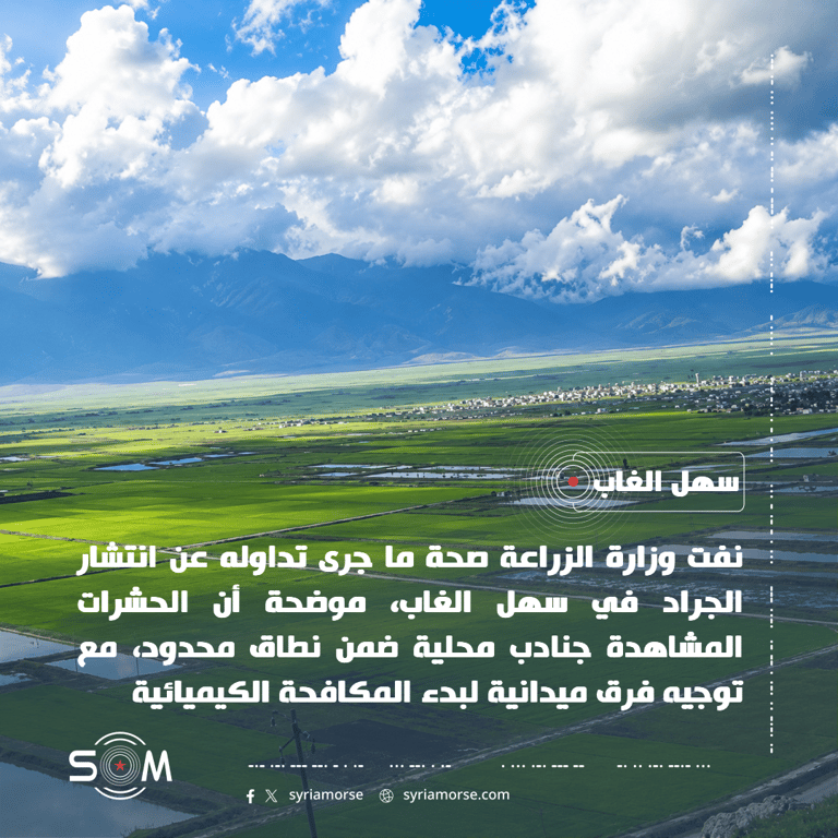 وزارة الزراعة تنفي انتشار الجراد في سهل الغاب وتعلن بدء المكافحة الموقع: سهل الغاب