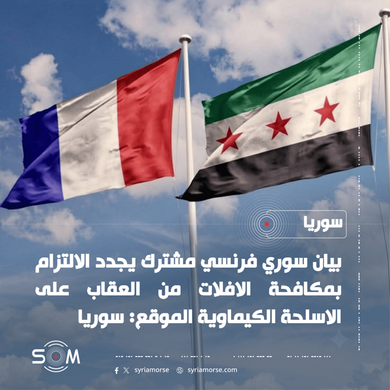 بيان سوري فرنسي مشترك يجدد الالتزام بمكافحة الافلات من العقاب على الاسلحة الكيماوية الموقع: سوريا