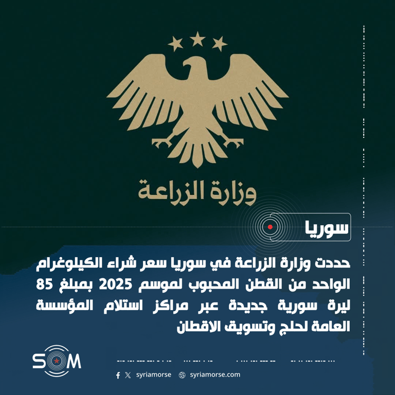 وزارة الزراعة تحدد سعر شراء القطن المحبوب لموسم 2025 عند 85 ليرة سورية جديدة الموقع: سوريا