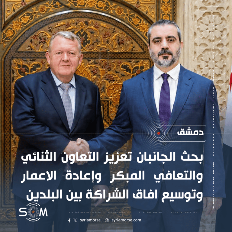 الشيباني ووزير خارجية الدنمارك يبحثان في دمشق التعاون والتعافي المبكر الموقع: دمشق