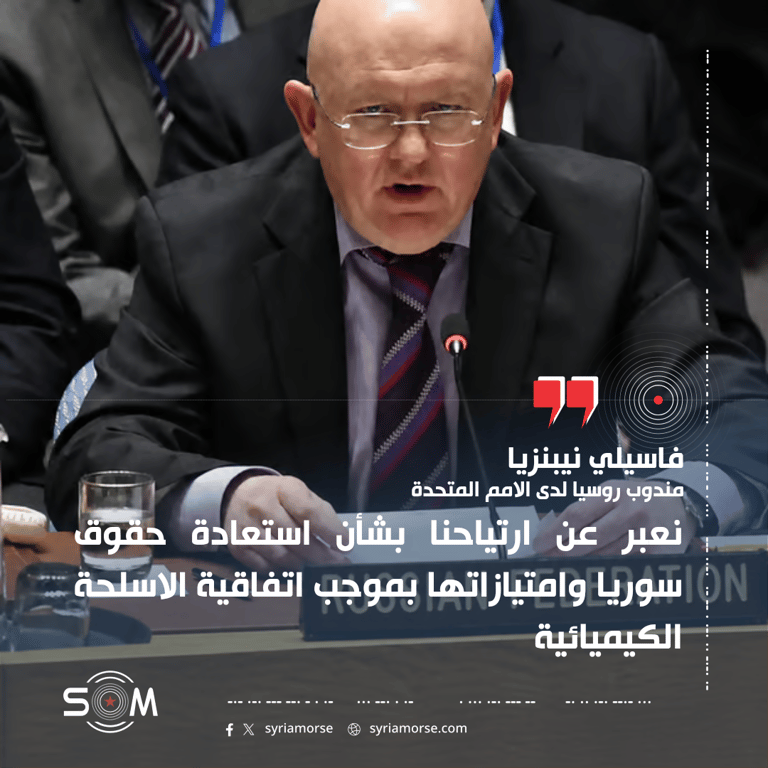 مندوب روسيا في مجلس الامن يعبر عن ارتياحه لاستعادة سوريا حقوقها باتفاقية الاسلحة الكيميائية