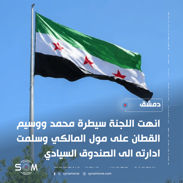 لجنة مكافحة الكسب غير المشروع توضح نطاق تدخلها في ملف مول المالكي الموقع: دمشق